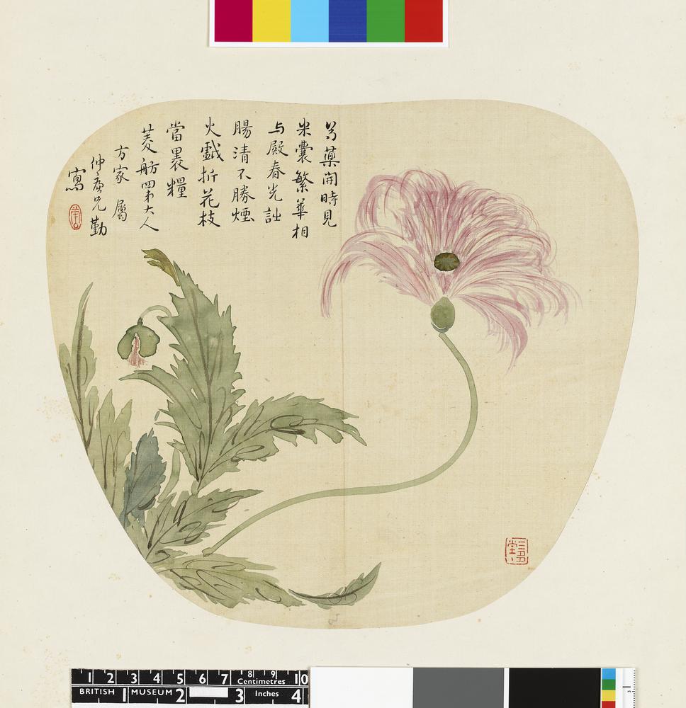 图片[1]-fan; album; painting BM-1973-0917-0.59.3-China Archive